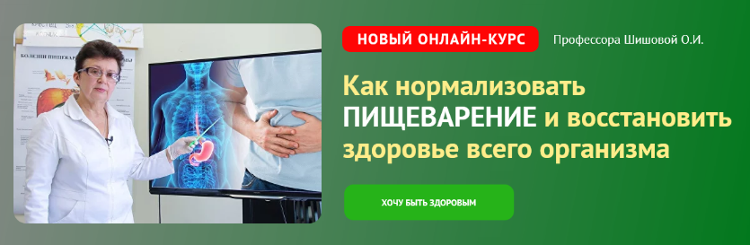 [Ольга Шишова] Как нормализовать пищеварение и вос_0.png